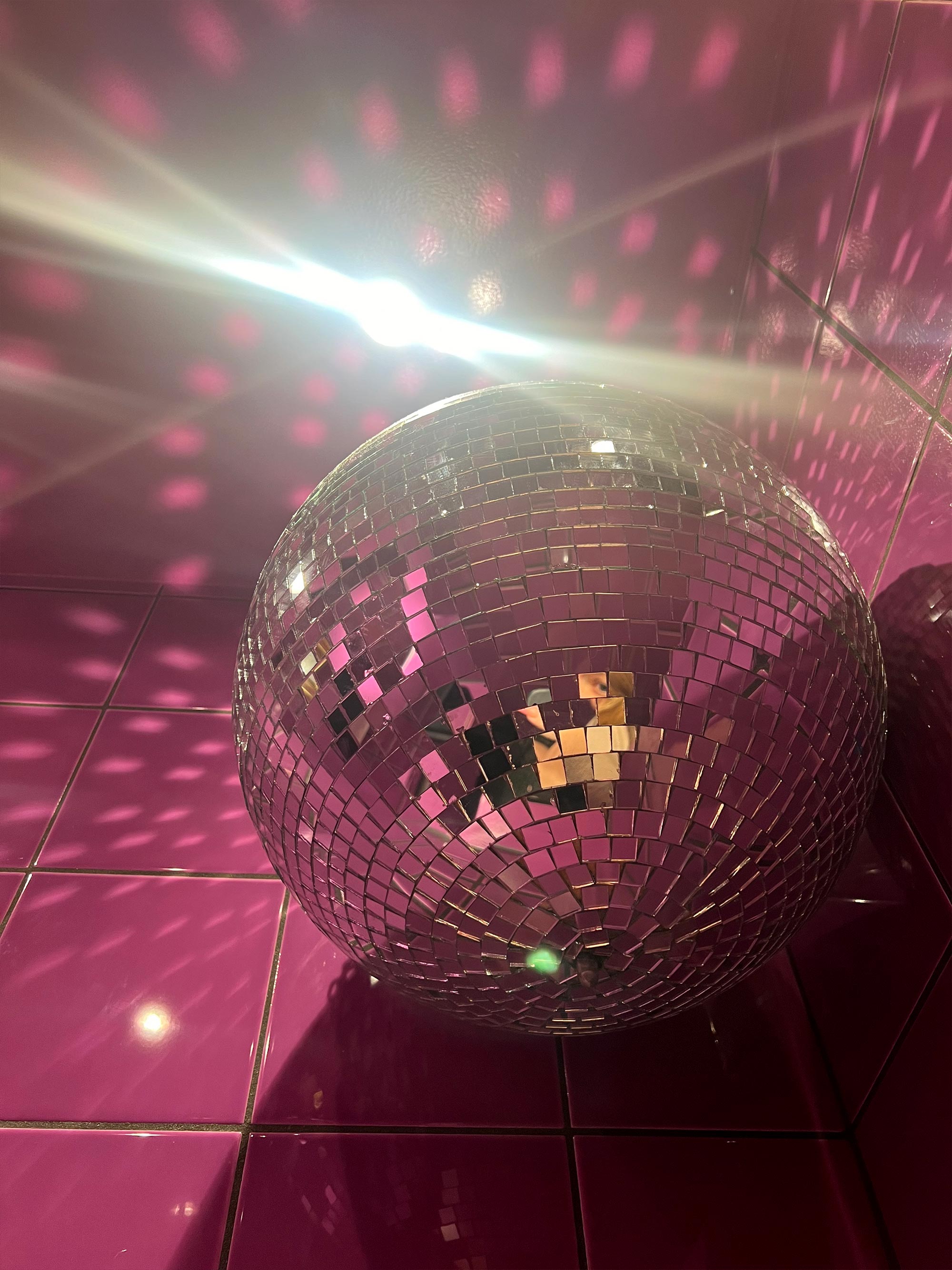 rosa-disco